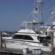 Seawitch Sportfishing