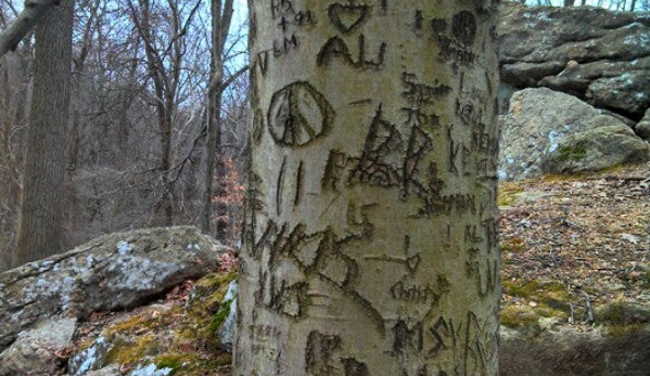 White Clay Creek State Park - Newark, DE