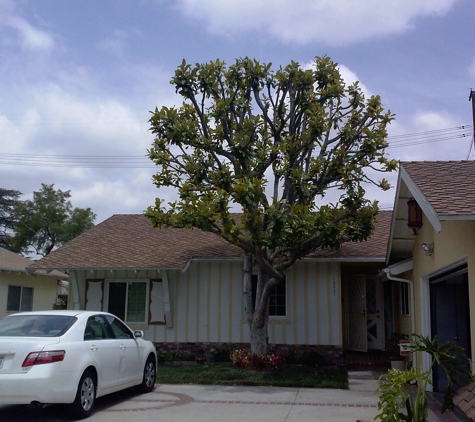 Chads Chippers Tree Service - Lancaster, CA