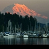 Harborview Marina gallery