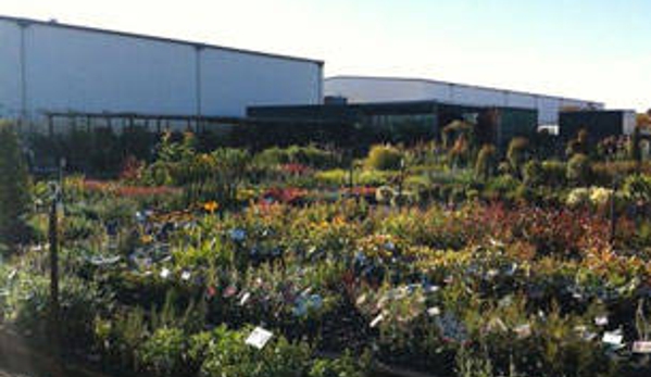 Wholesale Plants & Products Pty Ltd - Dry Creek, SA