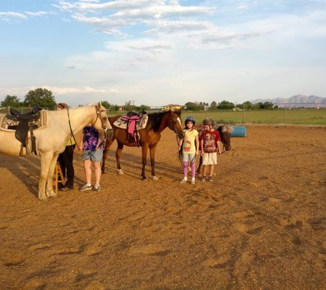 A & M Equestrian - Litchfield Park, AZ