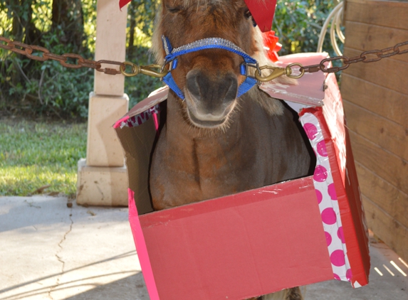 Casperey Stable - Loxahatchee, FL