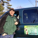 JL Precision Tree Care - Tree Service