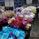 National Floral Distributors Inc - Wholesale Plants & Flowers