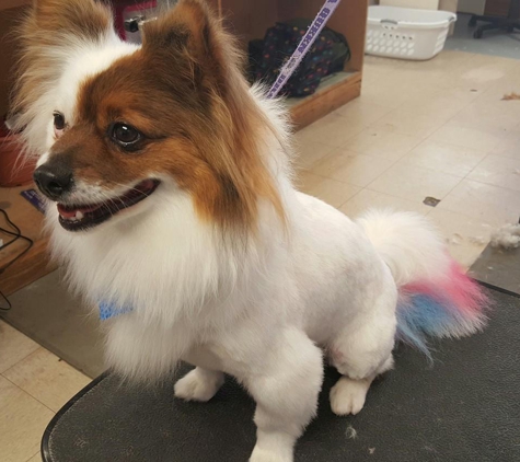 Cheryl's Best Friends Pet Grooming - Fayetteville, NC