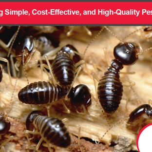 Action Pest Control - Carey Park, WA. Exceptional Reputation Over The Years