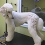 Happy Dog Pet Grooming