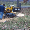 Brining's Stump Grinding gallery