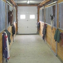 Canterbury Stables - Lodging