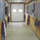 Canterbury Stables - Riding Academies