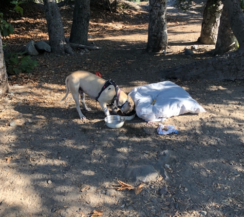 O'Neill Regional Park - Trabuco Canyon, CA