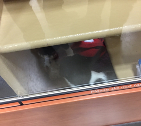 PetSmart - Union, NJ