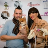 King Tut Pet Styling & Fashion gallery