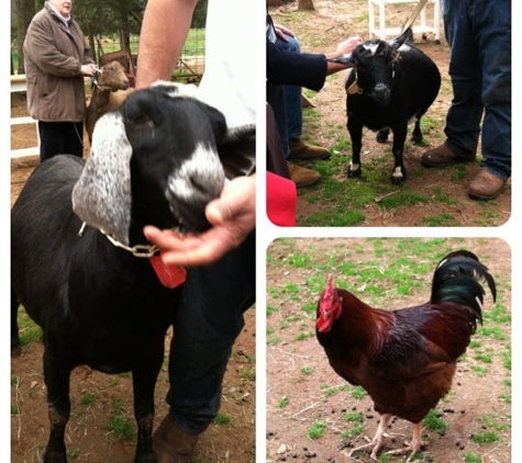 Split Creek Farm - Anderson, SC