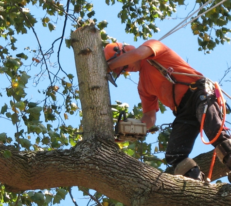 Arbor Tree Care - Spokane, WA