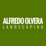 Alfredo Olvera Landscaping