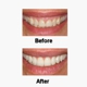 Bucktown Dental Associates