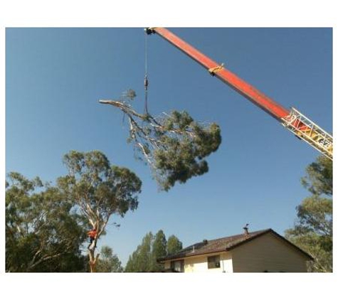 A1 Tree Service (NSW) Pty Ltd. - Dubbo, NSW
