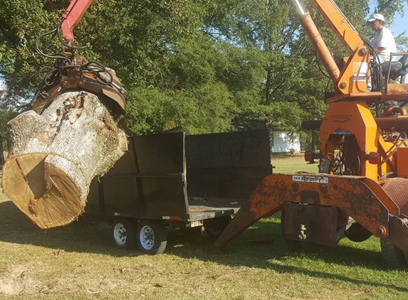 Garrison Mckinney tree and bridge services - Tupelo, MS