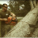 Rite Guys Tree Service - Stump Removal & Grinding