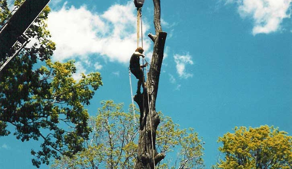 Connecticut Tree Service of Naugatuck, LLC - Naugatuck, CT