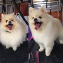 oc dog house grooming - Pet Grooming