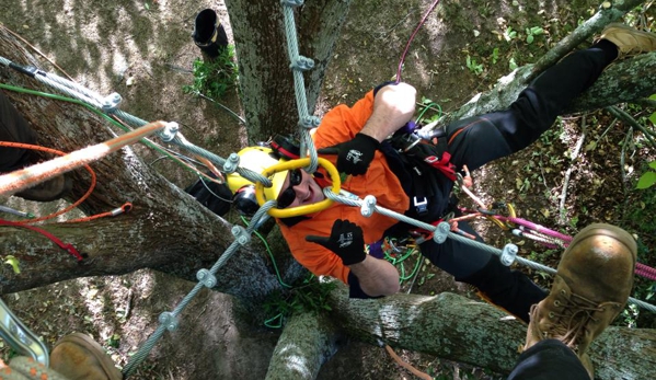 Forest & Garden Tree Services - Grassmere, VIC. Specialised Tree Work
