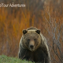 Jackson Hole Eco Tour Adventures - Guide Service