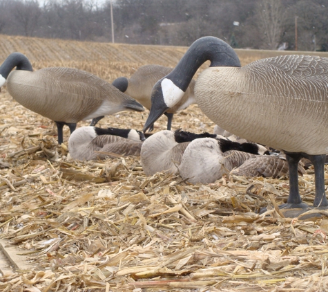 Goose Xperts - Stewartville, MN