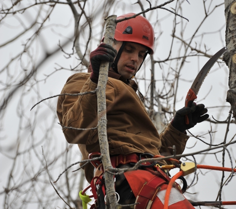 Three Trees Tree Service - Palmer, AK