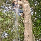 H & L Tree Service