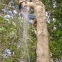 H & L Tree Service