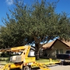 Carranza Tree Service gallery