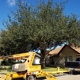 Carranza Tree Service