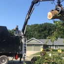 Kansas City Tree Care, LLC - Stump Removal & Grinding