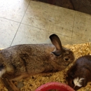 House Of Pets - Pet Stores