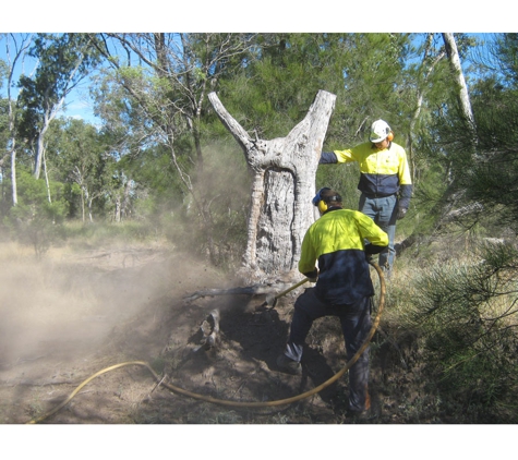 The Tree Doctor (Qld) Pty Ltd - Everton Hills, QLD