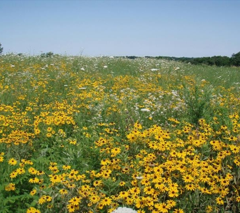 Jackson County Iowa Tourism - Sabula, IA