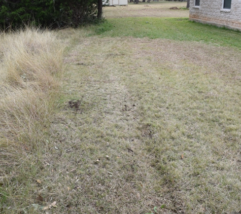 Dream Image Tree & Landscape Services - Boerne, TX. side yard because they drove up the side of my house to get to the back yard