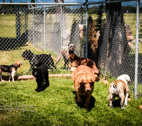 A Pet Boarding Retreat - Kalispell, MT