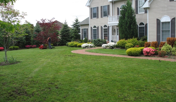 Andora Lawn Care