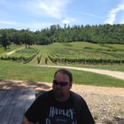 Nottely River Valley Vineyards