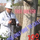 AB Tree Doctor - Arborists