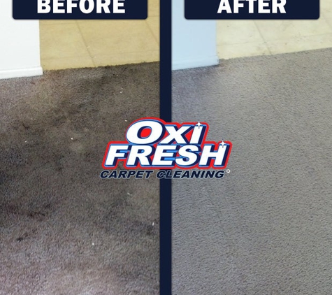 Oxi Fresh of Miami Carpet Cleaning - Miami, FL