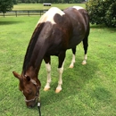 Oak Haven Acres - Stables