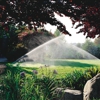 Allen's Sprinkler & Night Lighting gallery