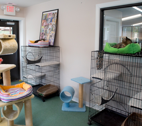 Bark Plaza Pet Hotel - Houston, MO