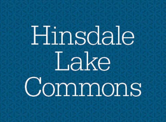 Hinsdale Lake Commons - Willowbrook, IL