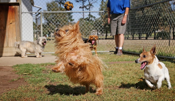 Peninsula Boarding Kennels - Moolap, VIC